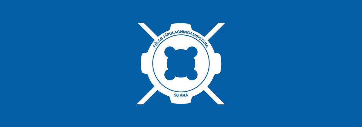 Á­skoranir í iðn­námi Ís­lendinga